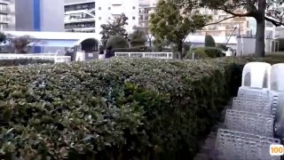 我来也网站主动的骚货上位各种干我
